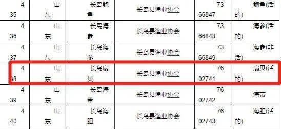 扇贝西餐摆盘图片_西餐做法扇贝怎么做_扇贝 西餐做法