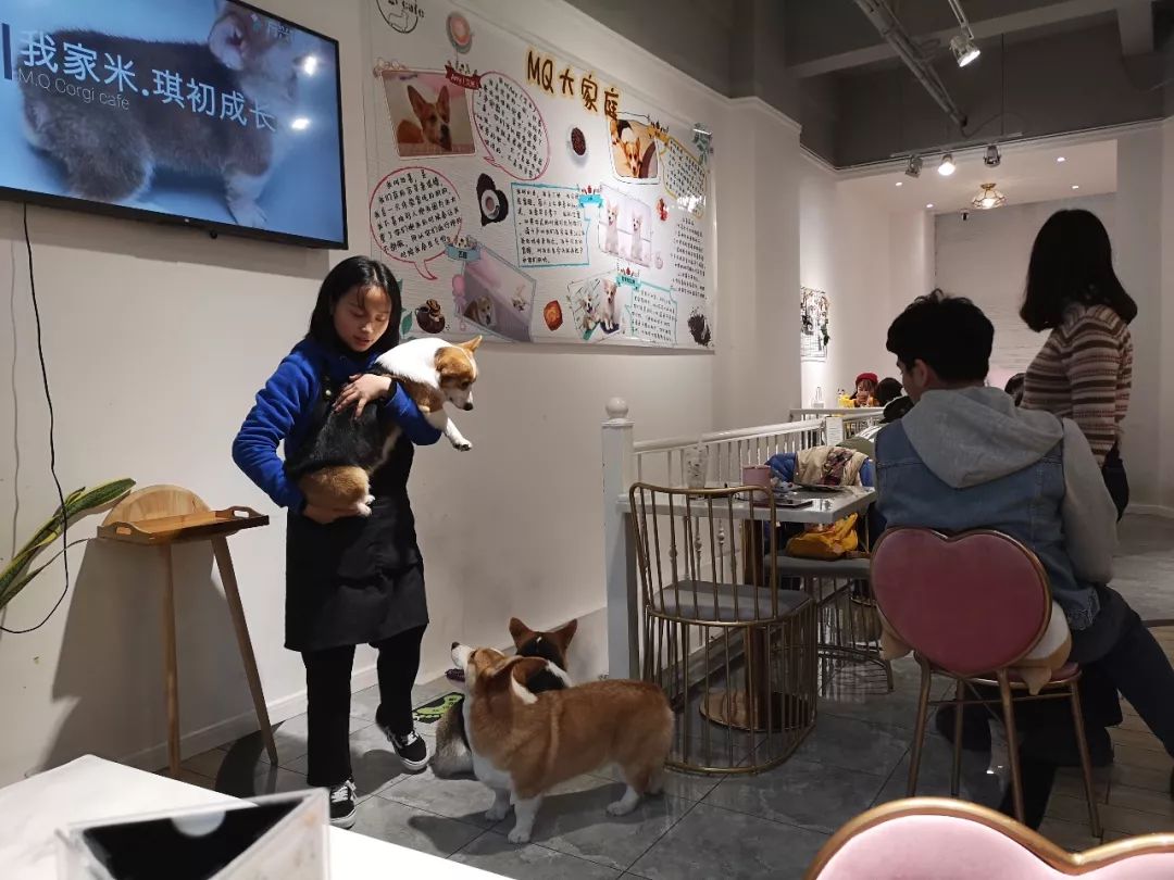 成都咖啡_成都咖啡馆有多少家_成都四大咖啡馆
