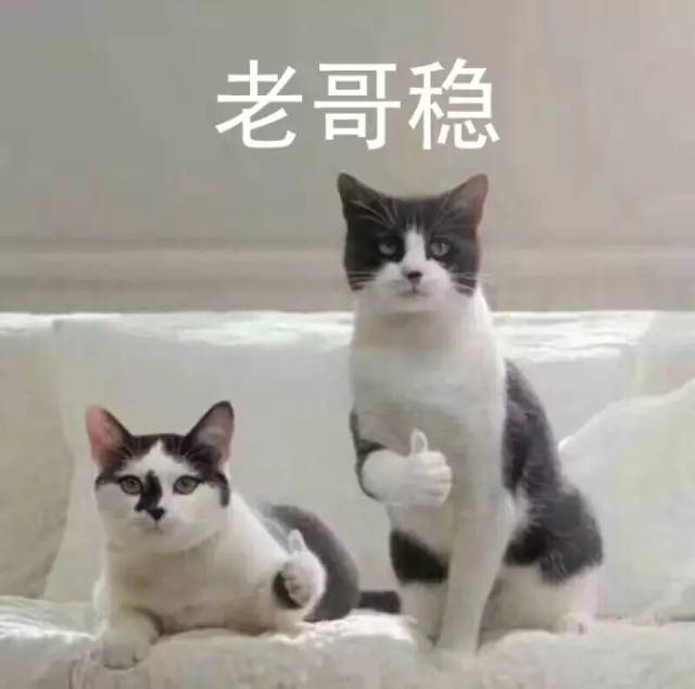 小林美食视频_小林美食城_小林潮汕美食